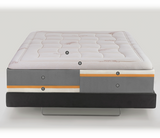 Magniflex Toscana Cotton Grande Dual 12 (FREE SHIPPING)
