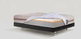 Magniflex Toscana Cotton Grande Dual 12 (FREE SHIPPING)
