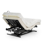Transfer Master Supernal 3 Hi-Low Adjustable Bed With White Glove Delivery