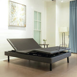 Dawn House Ascend Adjustable Base