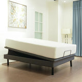 Dawn House Ascend Adjustable Base